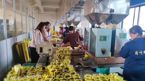 安徽休寧 抓訂單 忙生產(chǎn) 奮戰(zhàn)龍年 開門紅