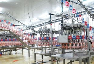 肯德基供應(yīng)商多舉措保雞肉安全